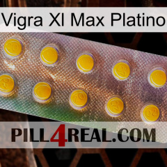 Vigra Xl Max Platinum new11